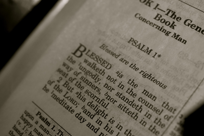 psalm, bible, selective focus, business, still life, rockford, western script, no people, united states, newspaper, recovery, dieting, data, number, indoors