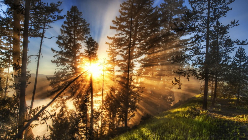 scenics - nature, 1080P, environment, hill-side, outdoors, streaming, grass, sun, sky, sunray, shine, sunshine, hillside, tranquil scene, beauty in nature