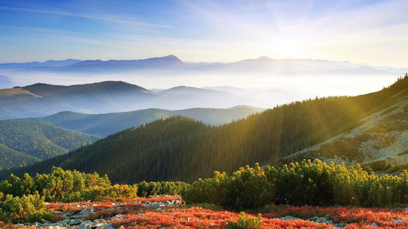 mountains, hills, forests, trees, 1080P, nature, desktop, landscapes