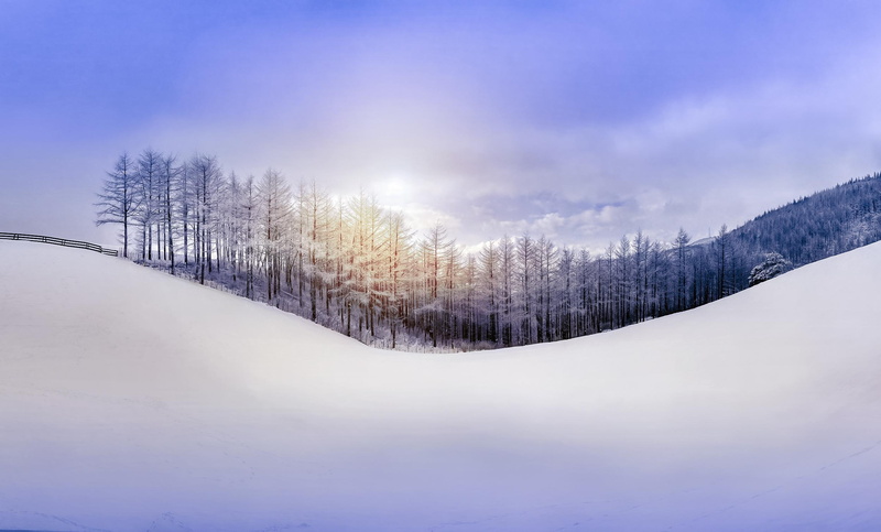 hill, forest, sky, snow, 1080P, landscapes, images, winter, nature