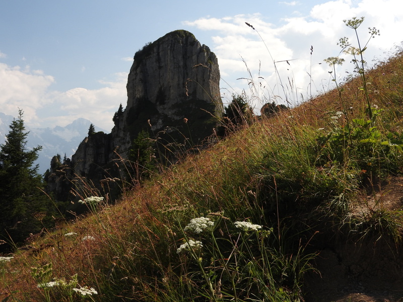 tranquility, no people, scenery, travel, alps, mountain Peak, mountain side, rock, meadow, forest, cloud, cloud - sky, summer, land, europe, peak, non-urban scene