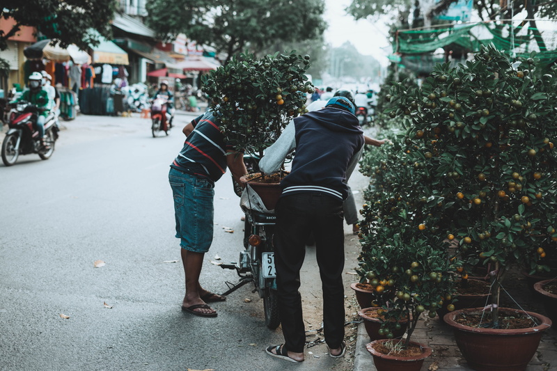 two people, jacket, beside, men, street, people, adult, male, positive emotion, full length, green, letterman, real people, city, plants, leafed, nature