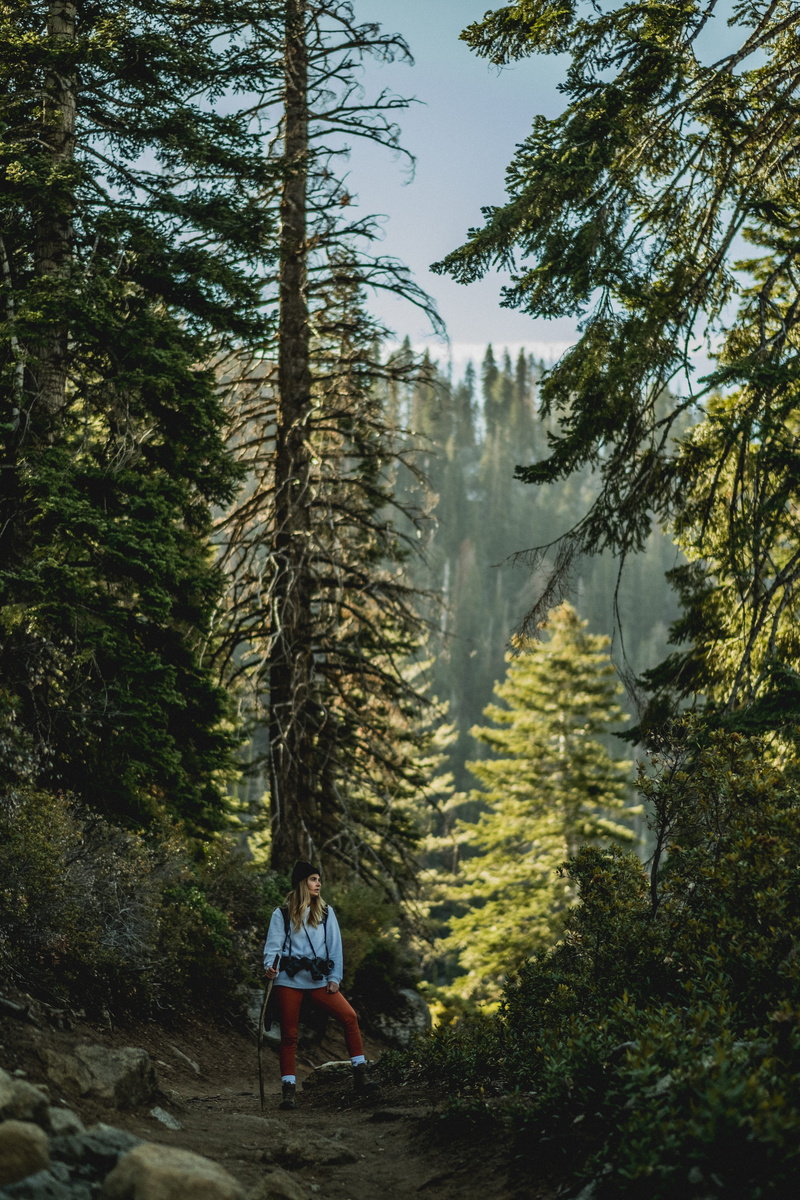 women, walking, nature, casual clothing, sitting, real people, outdoors, stick, red, standing, pants, scenics - nature, day, lifestyles, jacket, daytime