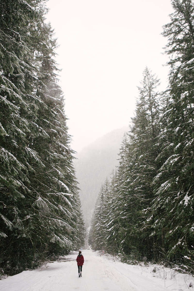 sky, warm clothing, snow, snowy, road, red, person, 2K, forest, tree, leisure activity, adult, men, trees, covered, real people, pine trees, nature, scenics - nature