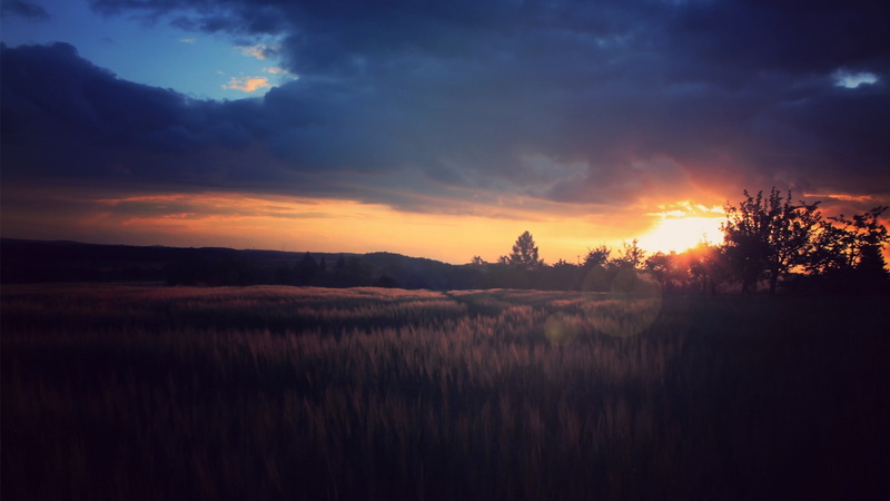 plains, 1080P, sunset
