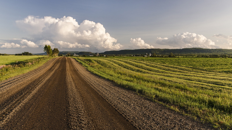 landscape, field, dirt road, 4K, hills, plains
