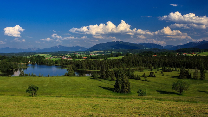 grass, water, non-urban scene, tree, field, environment, no people, scenics - nature, hd  desktop nature images wide screen 1920x1080, 1080P, green color