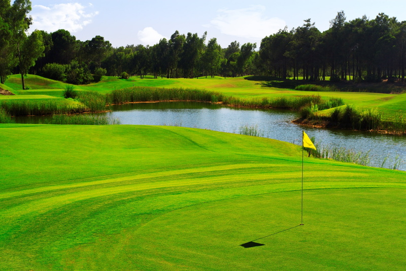 outdoors, grass, leisure activity, green color, golf course, golf, lake, 1080P, water, tranquil scene, tranquility, sport, golf widescreen desktop, plant