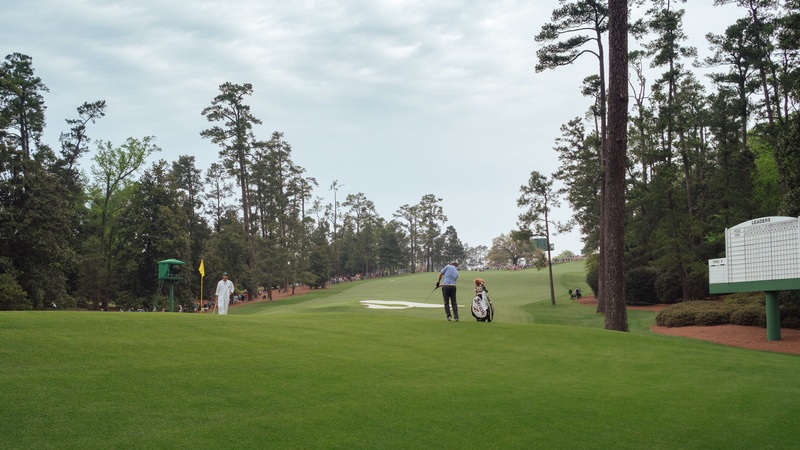 nature, united states, 4K, real people, augusta, sports, leisure activity, the masters, sport, grass, outdoors, tree, growth, cloud - sky, sportsman, activity