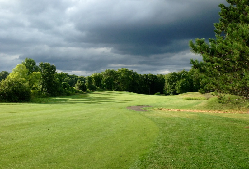 day, tranquil scene, 2K, tree, environment, sport, Landscape, golf landscape, nature, land, absence, activity, golf, green, rainy, plant, sky, grass, outdoors