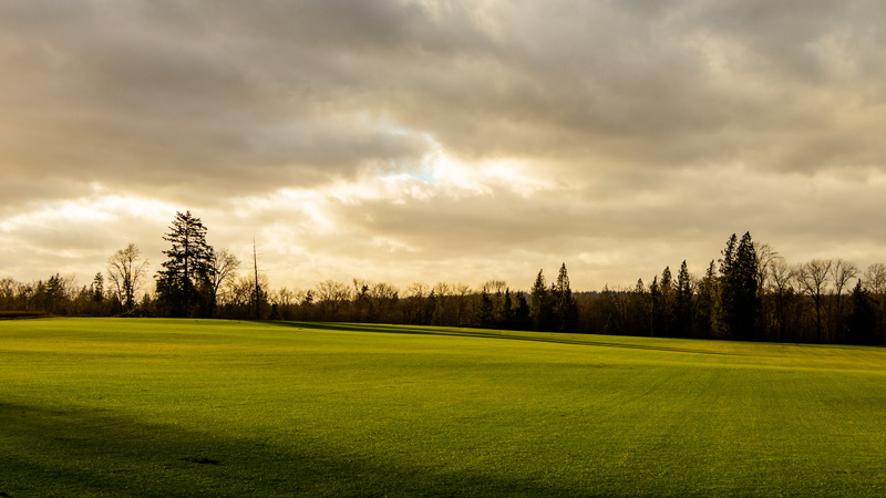sun, field, windy, sunset, tree, open, sky, golf course, 5K, outdoors, cloud - sky, trees, green, clouds, storm, green color, tranquil scene, sport, shadow