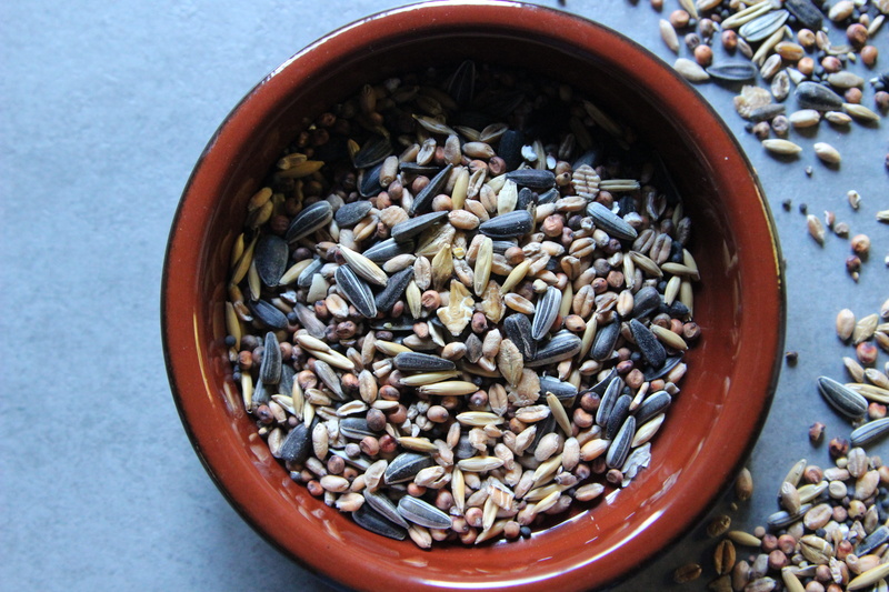 Grains, still life, freshness, high angle view, directly above, spice, day, birds, healthy eating, brown, seed, close-up, cardamom, ingredient, large group of objects