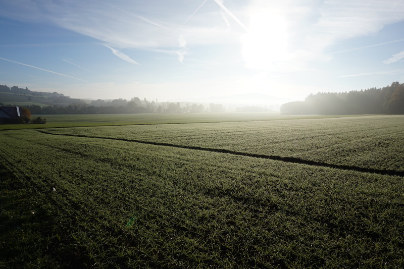 no people, sky, 5K, land, field, fog, winter, lens flare, back light, bright, morning sun, beauty in nature, green color, morgenstimmung, sunlight, day