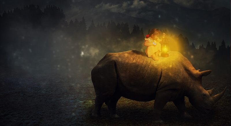 rhino, full length, Creative, real people, domestic, animal wildlife, night, domestic animals, nature, riding, Aero, elephant, land, outdoors, plant, forest