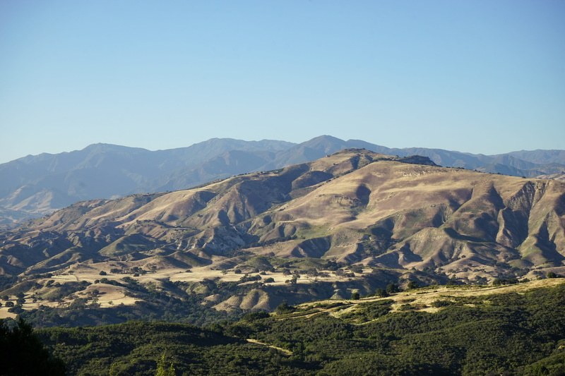 arid climate, home, environment, mountain, hills, ranch, blue, take me there, forest, day, scenics - nature, clear sky, green, road trip, non-urban scene
