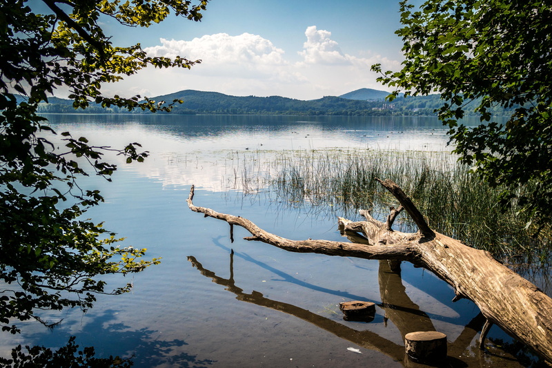 waters, lake, branch, beauty in nature, wood, nature, maria laach, green, no people, tree stump, decay, plant, cloud - sky, wood in the water, 5K, non-urban scene