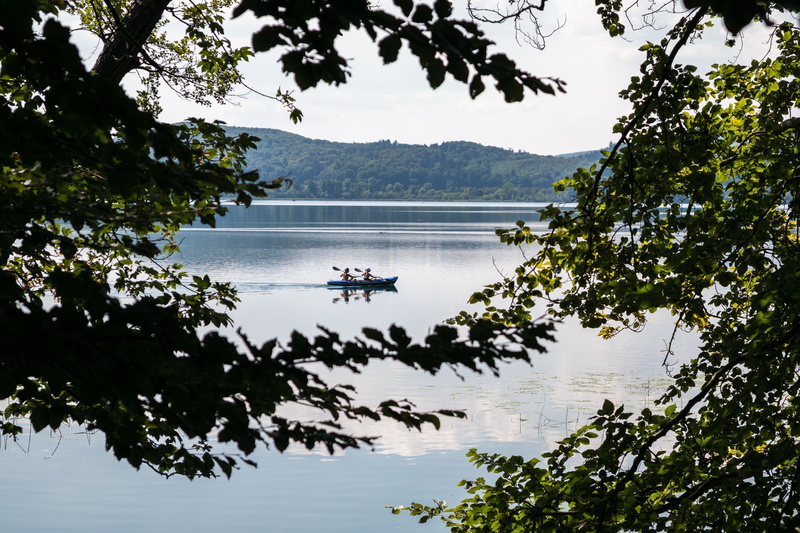 growth, kayakers, canoeing, mode of transportation, sport, canoeist, vacations, leisure, beauty in nature, 4K, lake, plant, paddle, tree, scenics - nature