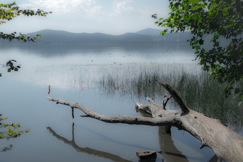 remote, water, wood, tree stump, body, morgenstimmung, brown, reflection, lake, dead plant, sky, log, driftwood, mirroring, wood in the water, maria laach