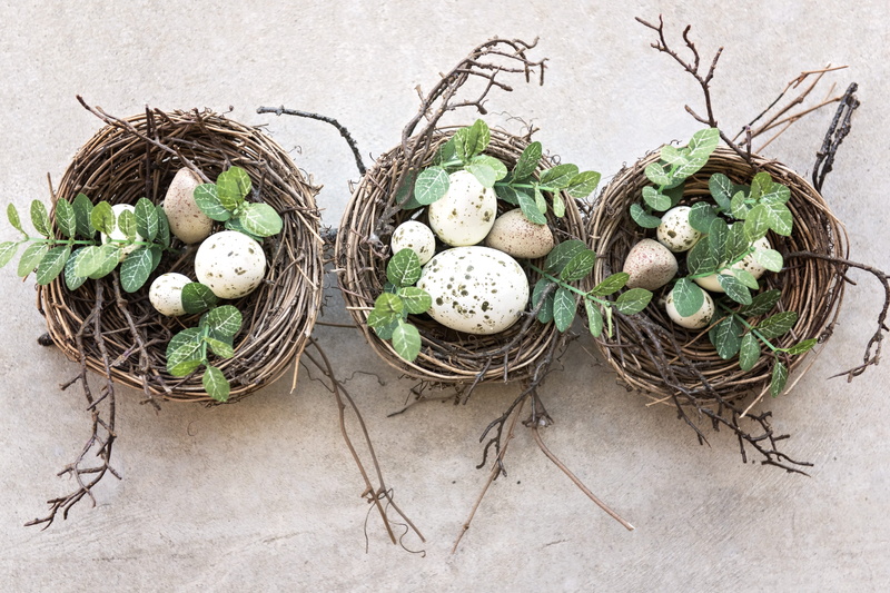 celebration, egg, food, spotted, 5K, easter, food and drink, white, animal nest, eggs, still life, holiday, basket, nature, little, plant, freshness, holiday - event