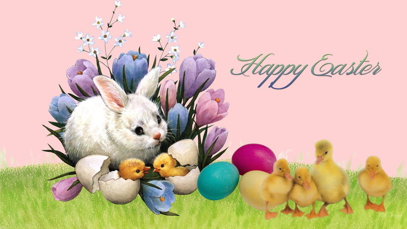 no people, food and drink, celebration, cute, holiday, multi colored, animal themes, easter egg, springtime, food, holiday - event, rabbit - animal, egg