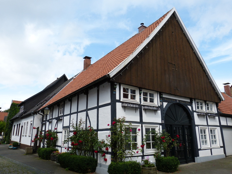 roses, city, sky, historic old town, no people, truss, house, roof, tree, flowering plant, flower, rheda-wiedenbrück, nature, built structure, window, building