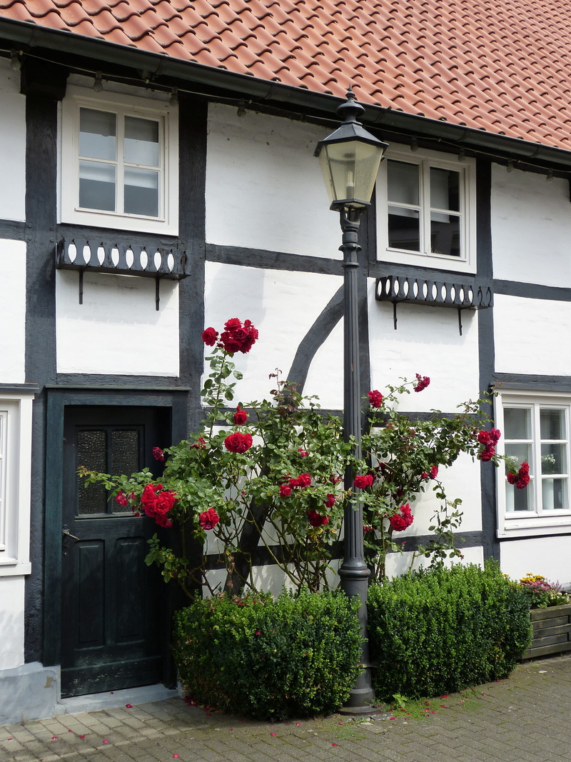 north rhine westphalia, potted plant, building, architecture, house, plant, truss, flower, building exterior, beauty in nature, fachwerkhaus, entrance