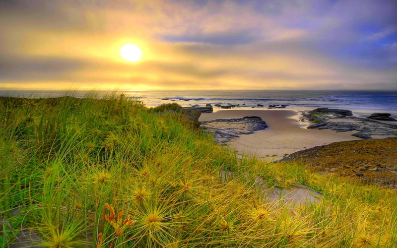 good, sunshine, morning, grass, nature and landscapes, shore, 1080P, nature