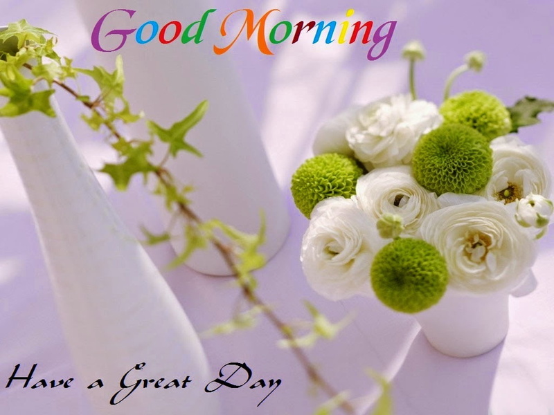 green, good morning, white, flower, hD, facebook, 480P