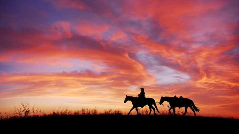 vertebrate, nature, scenics - nature, atmosphere, dusk, mammal, livestock, ecoregion, cloud, outdoors, group of animals, land, rider, dawn, 4K, animal wildlife