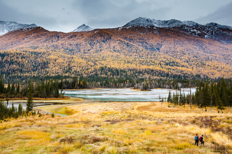 mountain range, scenics - nature, pine woodland, 5K, nature, landscape, china, activity, people, in xinjiang, field, mountain, land, coniferous tree, scenics