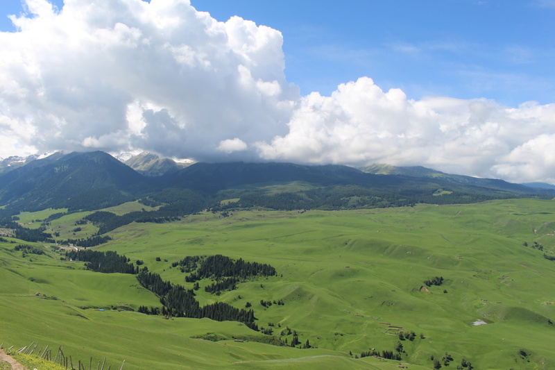 outdoors, tranquility, land, tranquil scene, cloud - sky, landscape, sky, in xinjiang, day, scenics - nature, prairie, rolling landscape, tree, mountain