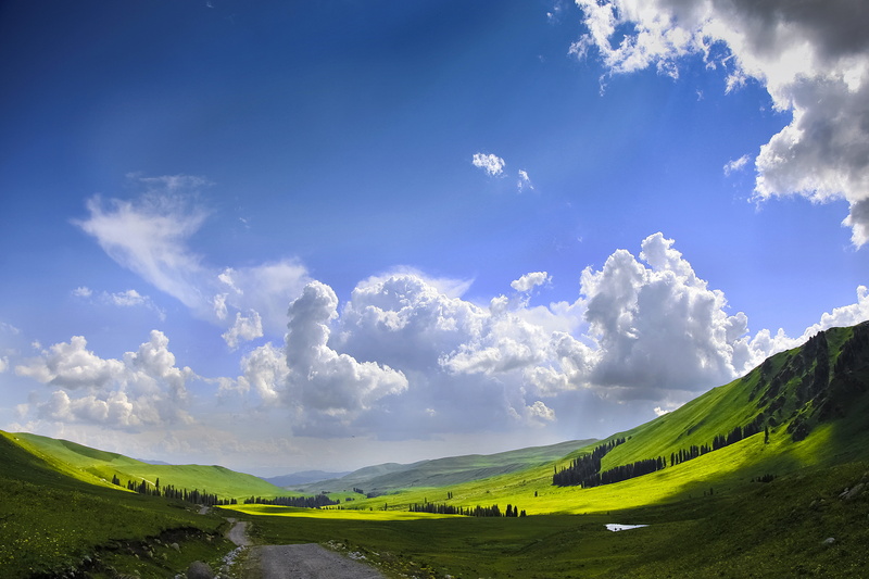 no people, landscape, grassland, sky, valley, road, the scenery, field, environment, idyllic, rolling landscape, grass, sunlight, springtime, hill, day