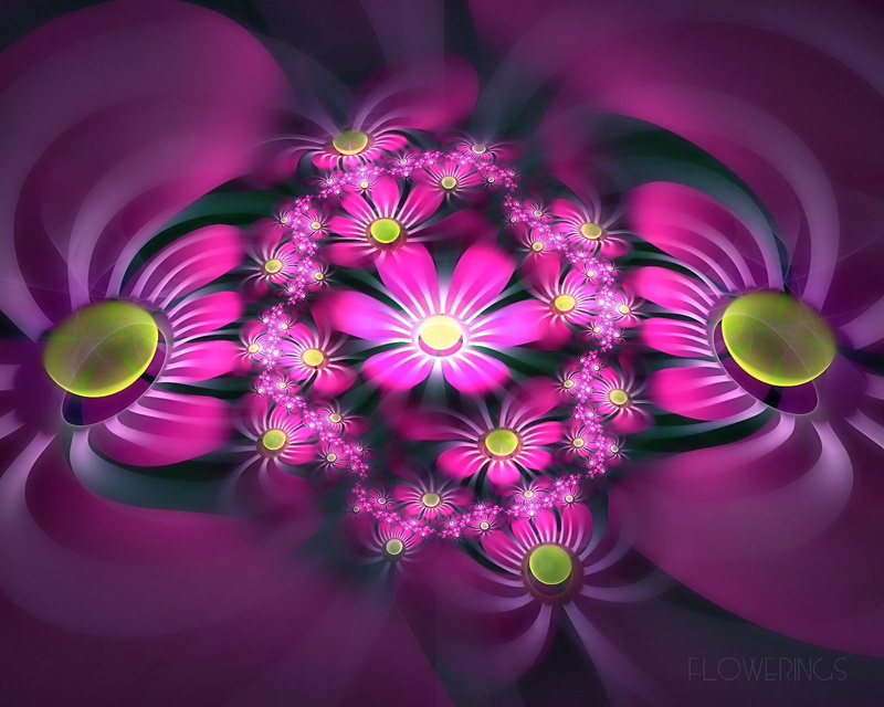 bright, decoration, shape, circle, close-up, petal, vulnerability, pink Color, red, indoors, beauty in nature, freshness, flowering plant, floral pattern