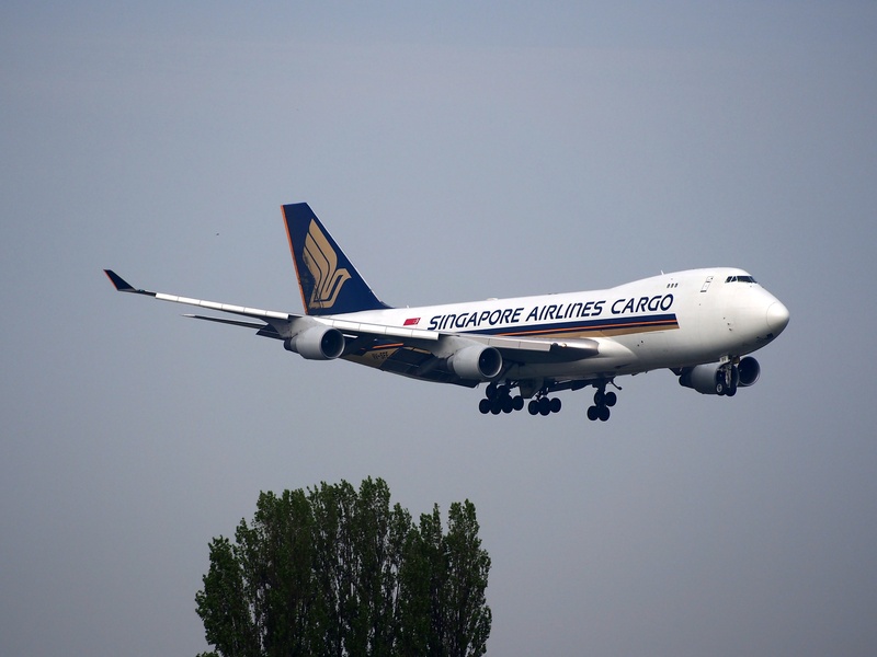 on the move, tree, singapore, day, fighter plane, mode of transportation, travel, copy space, airplane, motion, singapore airlines, aerospace industry