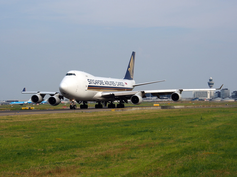 grass, mode of transportation, aircraft, boeing, air vehicle, airport runway, aerospace industry, clear sky, commercial airplane, sky, nature, landing - touching down