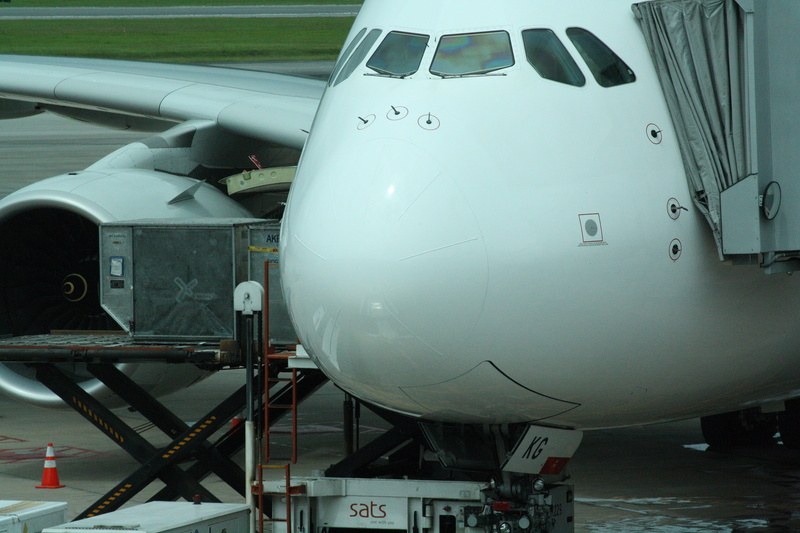a380, industry, 4K, loading, connection, leaving, white, airplane, air vehicle, cockpit, aircraft, jet engine, outdoors, commercial airplane, nature, airport runway