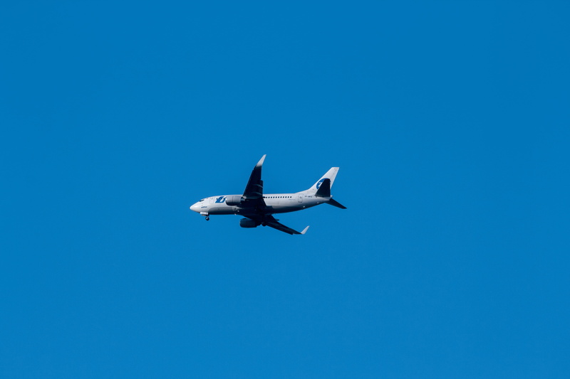 air traffic, vnukovo airport, day, mode of transportation, moscow, sky, animal themes, animal, nature, military, takeoff, airbus, no people, turbine, bird