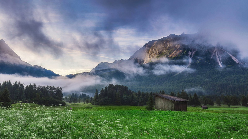 tranquility, environment, plant, grass, meadow, hut, landscape, highland, fog, wilderness, austria, mountain range, grassland, outdoors, mount scenery