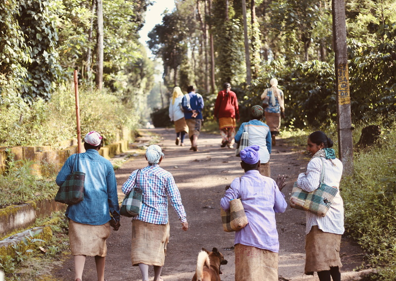 apparel, rear view, medium group of people, womens, people, day, clothing, nature, animal, india, land, hills station, togetherness, canine, road, real people