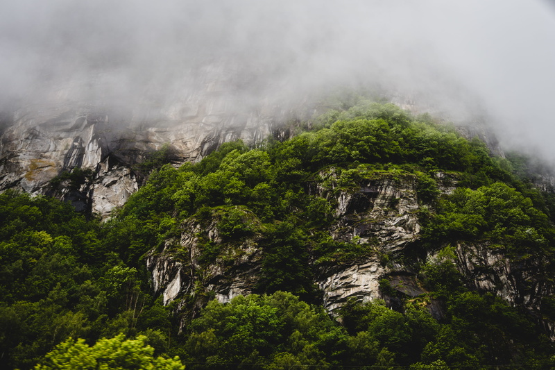 Outdoors, 5K, green color, coniferous tree, tree, sky, jungle, rock, formation, Mist, landscape, green, hill station, evergreen tree, wilderness, tranquil scene