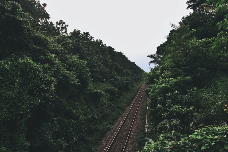 green color, track, steel, sky, rail transportation, diminishing perspective, road, growth, plant, mode of transportation, mode of Transport, railway, nature