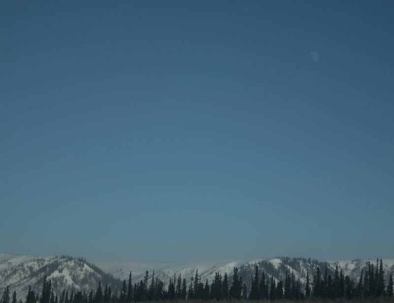 tree, plant, winter, snow, sky, cold temperature, canada, tranquility, mountain range, clear sky, beauty in nature, tranquil scene, no people, snowcapped mountain