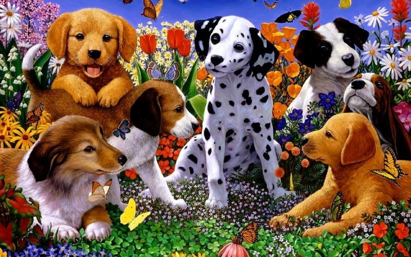no people, mammal, nature, Hund, vertebrate, multi colored, domestic animals, flower, domestic, representation, dog, Deutschland, Wiese, toy, animal themes