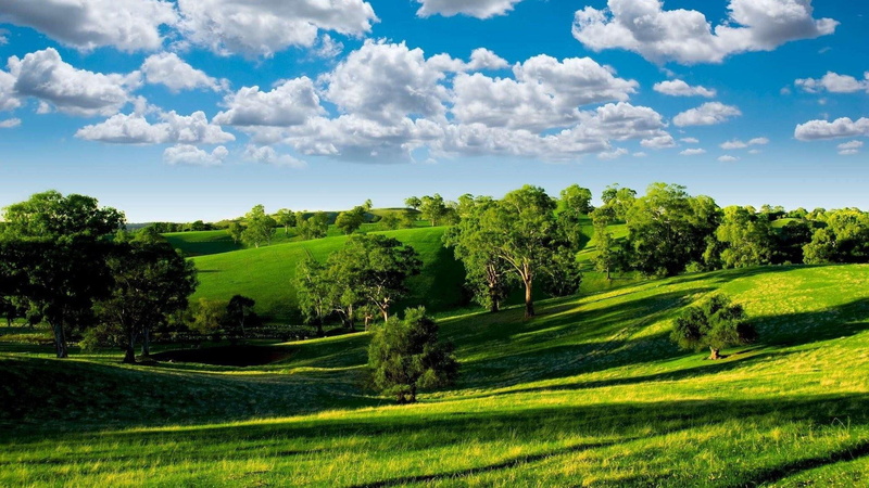 clouds, landscapes, field, 1080P, hd, summer, sky, meadow, trees