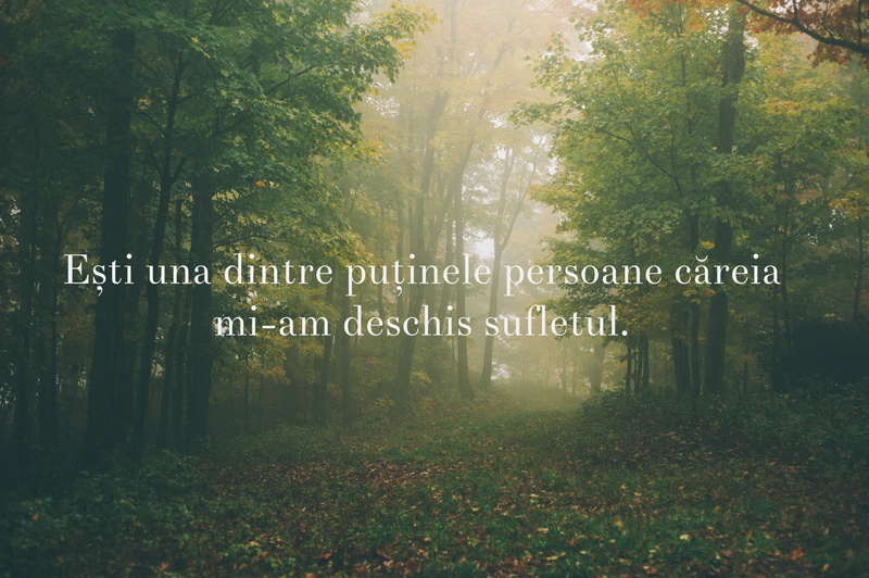 sunlight, forest, 1080P, Romanian, quote