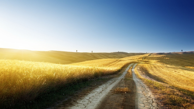 1080P, lens flare, nature, plant, land, beautiful nature  for desktop background 1920x1080, clear sky, outdoors, rural scene, dirt, sun, tranquil scene