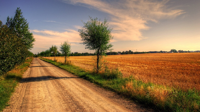 nature, cloud - sky, beauty in nature, tranquil scene, beautiful nature  for desktop background 1920x1080, dirt road, tree, outdoors, rural scene, tranquility