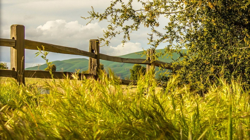 nature, sky, plant, landscape, cloud - sky, beauty in nature, green color, field, tree, tranquility, agriculture, rural scene, beautiful nature  for desktop background 1920x1080