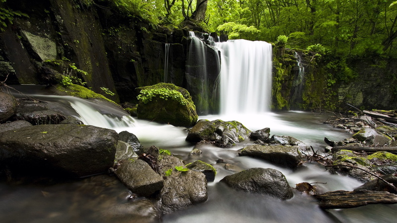 outdoors, land, solid, waterfall, rock - object, rock, blurred motion, non-urban scene, flowing water, power in nature, scenics - nature, forest, plant