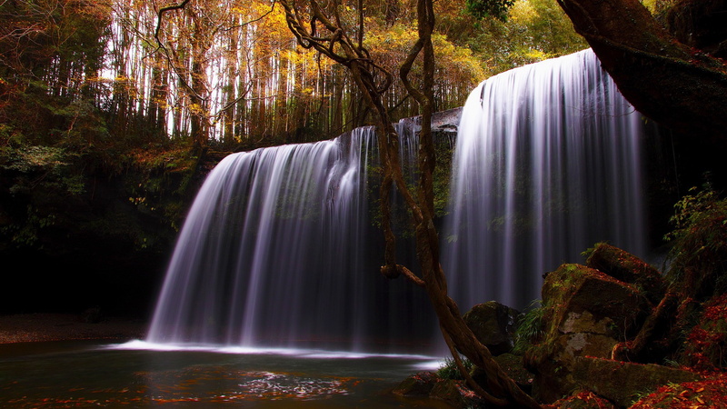 waterfall, no people, tree, growth, nature beauty desktop hd images 2560x1440, woodland, autumn, long exposure, scenics - nature, nature, rainforest, outdoors